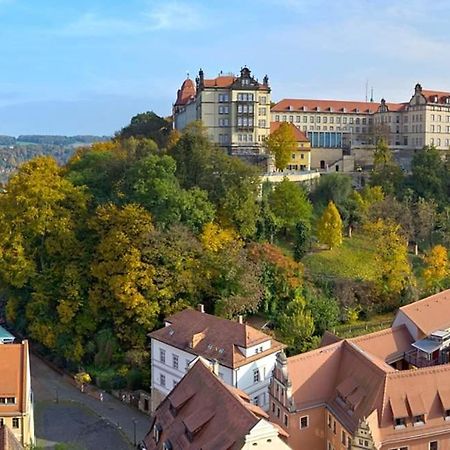 Apartment Altstadt 皮尔纳 外观 照片